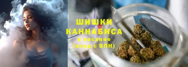 МДМА Бородино