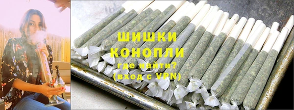 МДПВ Богородск